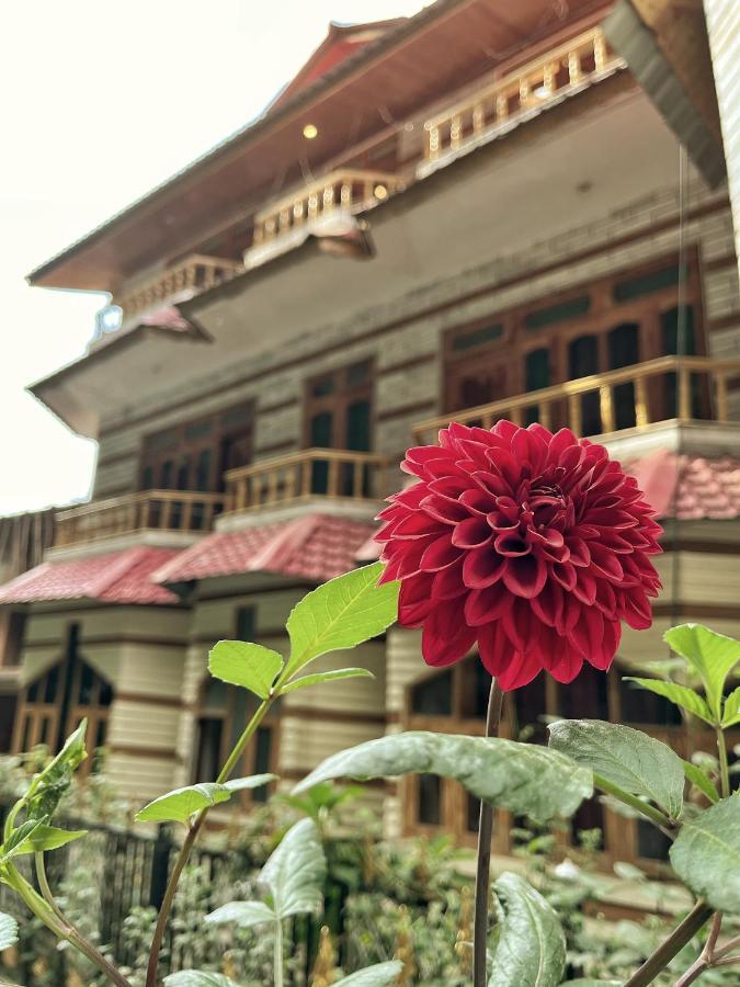 Hotel Anupam By Mid Orchard, كاسول المظهر الخارجي الصورة